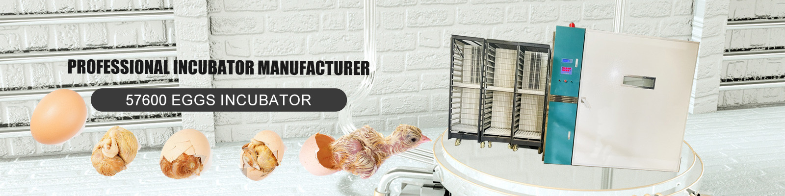 productos