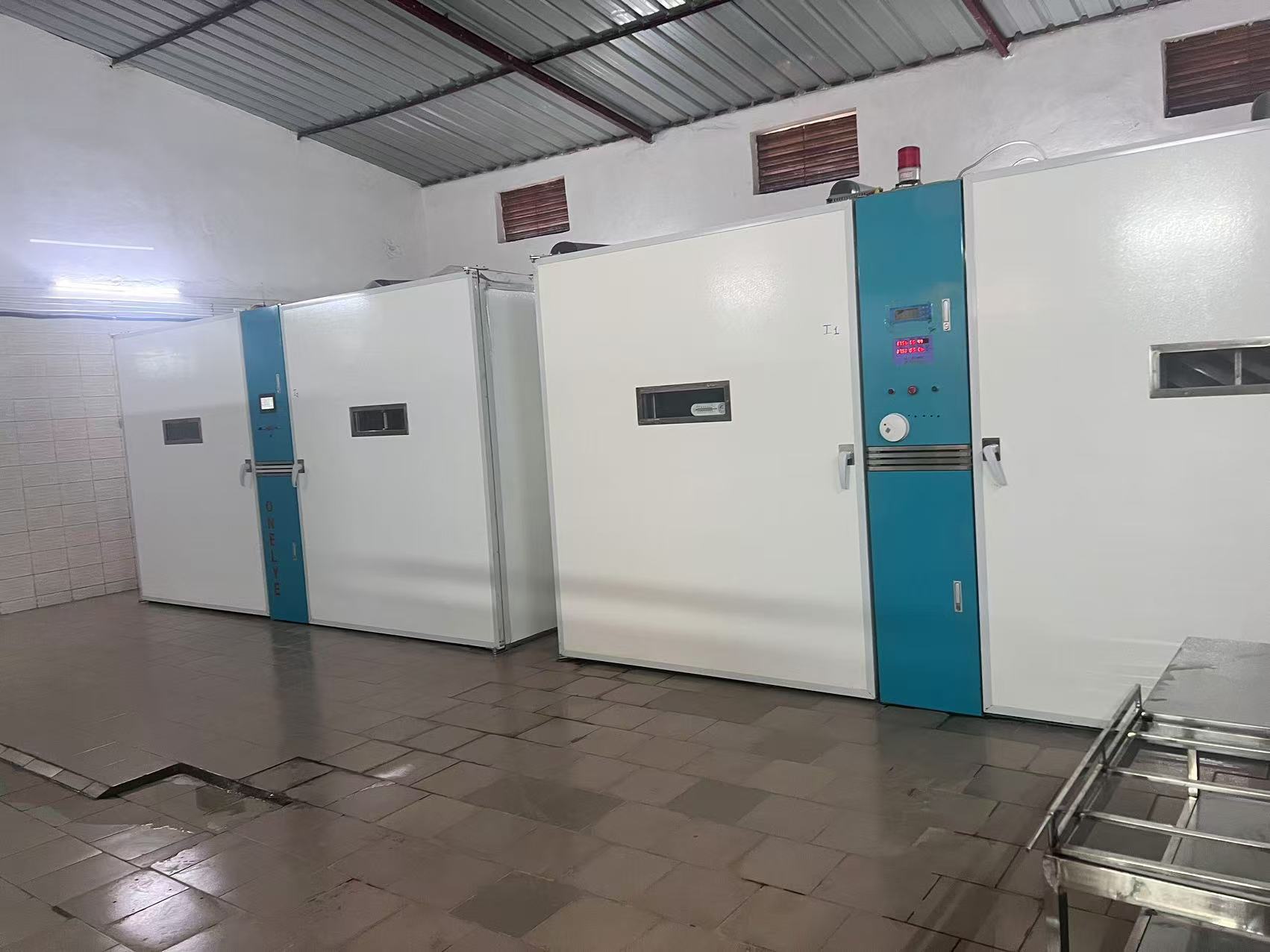 Latest company blogs about Cómo la automatización aumenta las tasas de eclosión al 98% en las incubadoras modernas