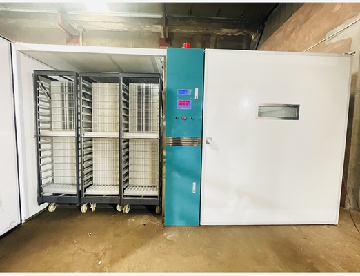 comprar Incubadora controlada de la sola etapa del microordenador con exactitud de la temperatura de ±0.5°C online manufacture