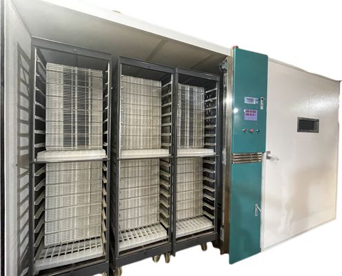 comprar Huevo del pollo de ONELYE 19200 que trama la máquina completamente automática online manufacture