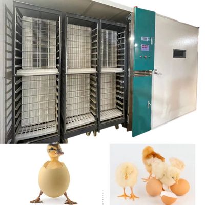 comprar La incubadora automática del huevo de ONELYE 12000 incuba las palomas de Gooses de los patos online manufacture