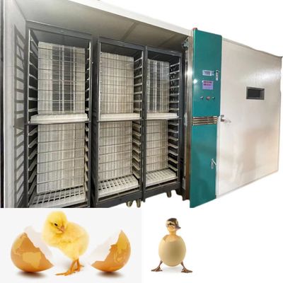 comprar Trama de la incubadora automática 19200 del huevo del pollo del gran escala de la tarifa el 98% online manufacture