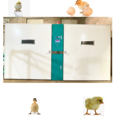 comprar Huevo grande del pollo de la granja que trama capacidad del gran escala 19200 de la máquina online manufacture