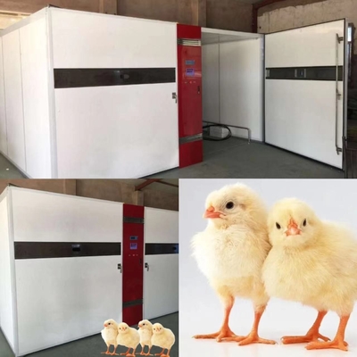 comprar Huevo industrial 1000W que trama las incubadoras con exactitud de la humedad de ±3%RH online manufacture