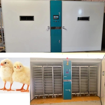 comprar pollo 220V/50Hz que trama la máquina con la exactitud de la humedad de ±3%RH online manufacture