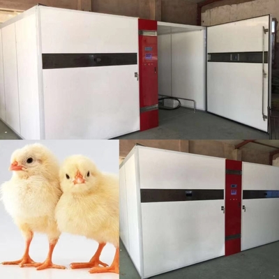 comprar Pollo del indicador digital del LED que trama la máquina 50kg online manufacture