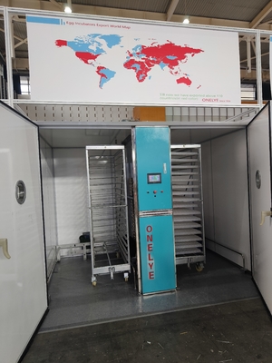 comprar Escáner táctil ELT-19200 Incubadora comercial para huevos de gallina online manufacture