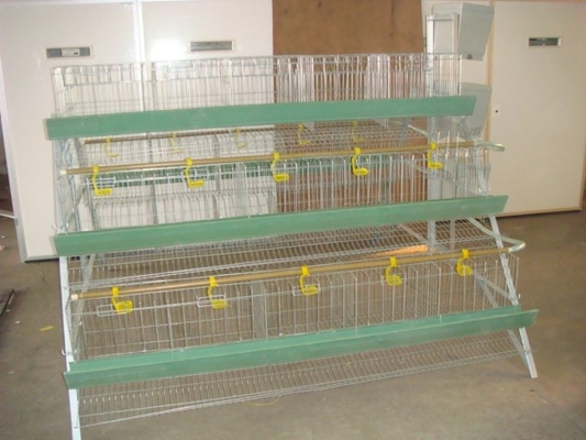 comprar Accesorios automatizados 3 de la granja avícola sistema de la jaula de batería de la capa del huevo del pollo de las aves de corral de 4 gradas para las parrillas online manufacture