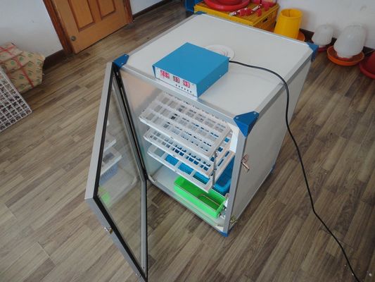 comprar Huevos automáticos comerciales de la incubadora 250 del pollo online manufacture