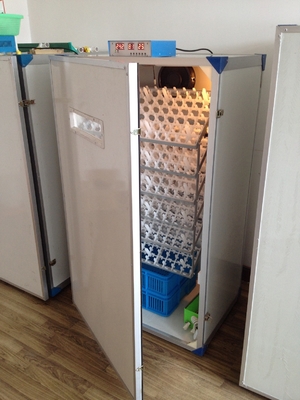 comprar Incubadora completamente automática del huevo de la portilla fácil para la incubadora de la capacidad de los huevos de los huevos 300 del pollo online manufacture