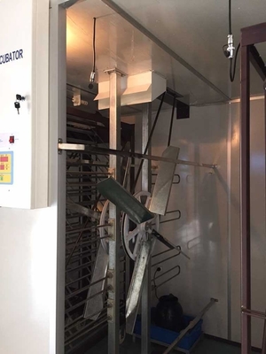 comprar Máquina del equipo del criadero del pollo de las aves de corral de la incubadora del huevo de 6000 Digitaces online manufacture