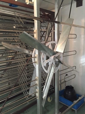 comprar Capacidad multi de los huevos de la incubadora de la sola etapa y de la incubadora 3000 del huevo del gabinete de la gallina clueca online manufacture