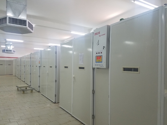 comprar Huevo del pollo de 20000 incubadoras que trama la máquina online manufacture