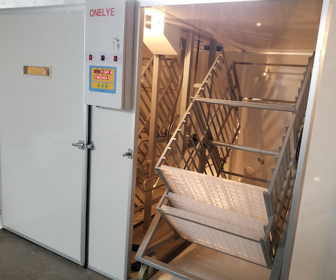 comprar Trama comercial del huevo del loro del faisán de los huevos de la incubadora 10000 del huevo de la capacidad grande online manufacture