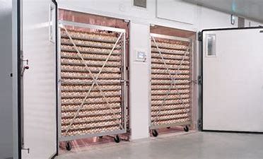 comprar Incubadora inteligente de la sola etapa de 31824 codornices de los huevos con el huevo Turner online manufacture