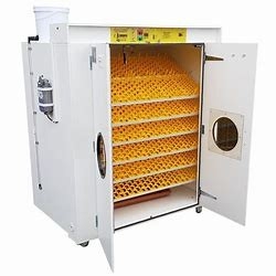 comprar Incubadora comercial Turner Heat automático del huevo de 31824 codornices ajustable online manufacture