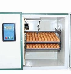 comprar La incubadora automática Hatchers del huevo del pollo de 360 grados ventiló online manufacture