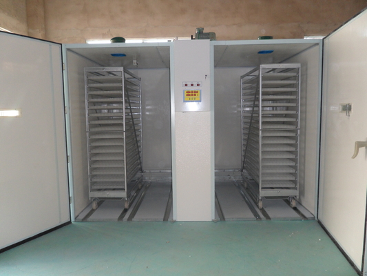 comprar Incubadora 3.8KW de la sola etapa de 31824 huevos de codornices con Hatcher online manufacture