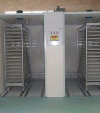 comprar Incubadora automática de la sola etapa 90 grados que dan vuelta con 384 bandejas online manufacture