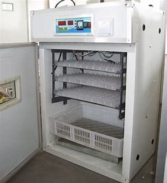 comprar La incubadora enorme del huevo de las aves de corral 200PCS sacó las secciones online manufacture