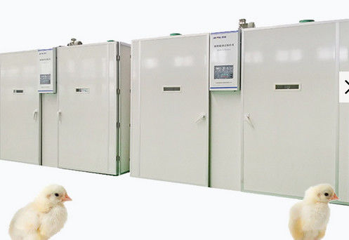 comprar Incubadora de la sola etapa de 57600 huevos del pollo que trama la máquina online manufacture