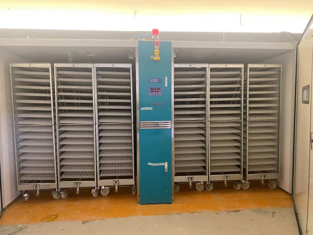 Stainless Steel Single Stage Incubator 1000W Power